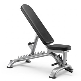 Commercial Incline Bench