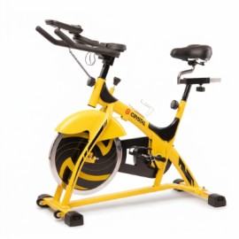 Commercial Bike 200kg